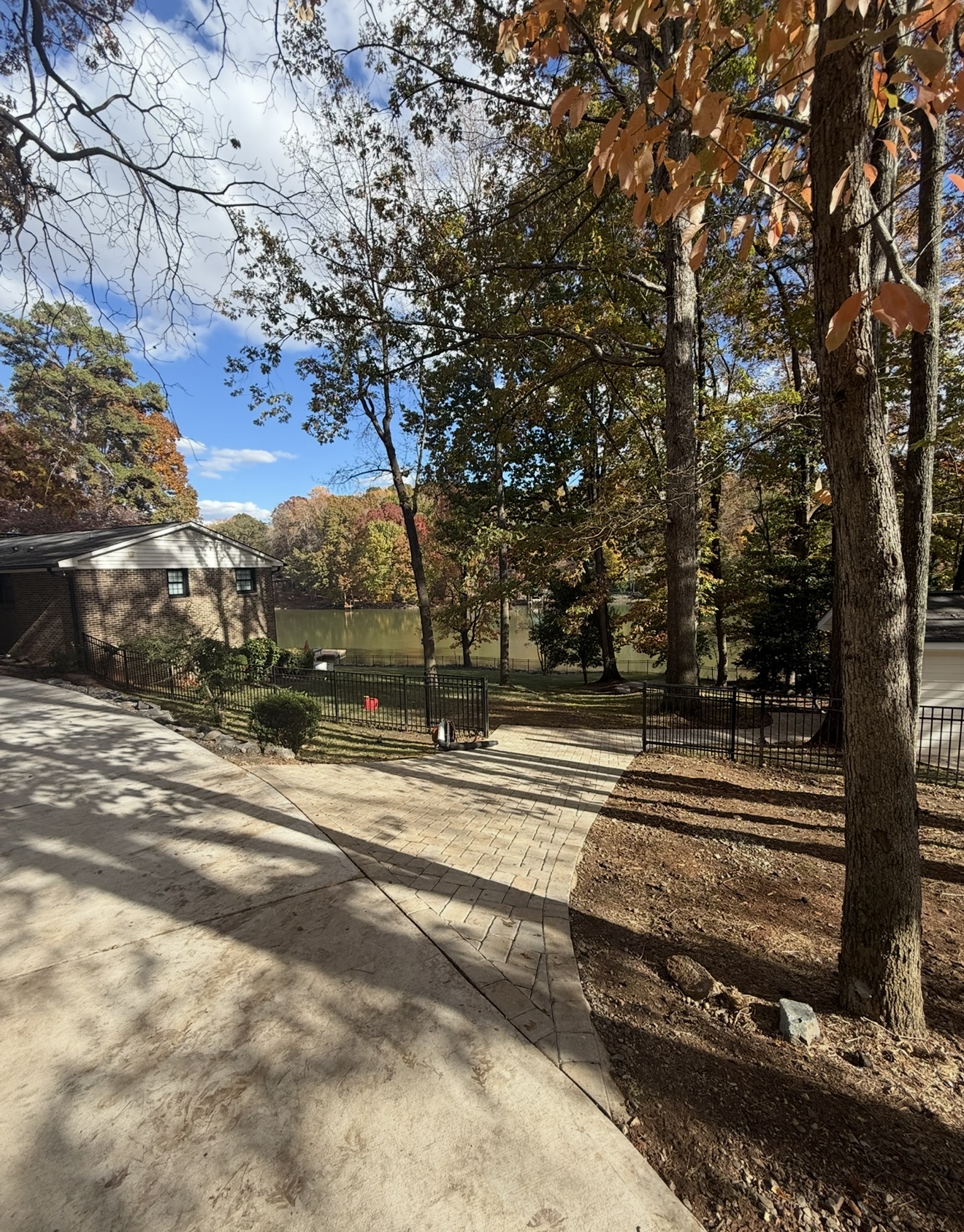 Leaf Removal — before