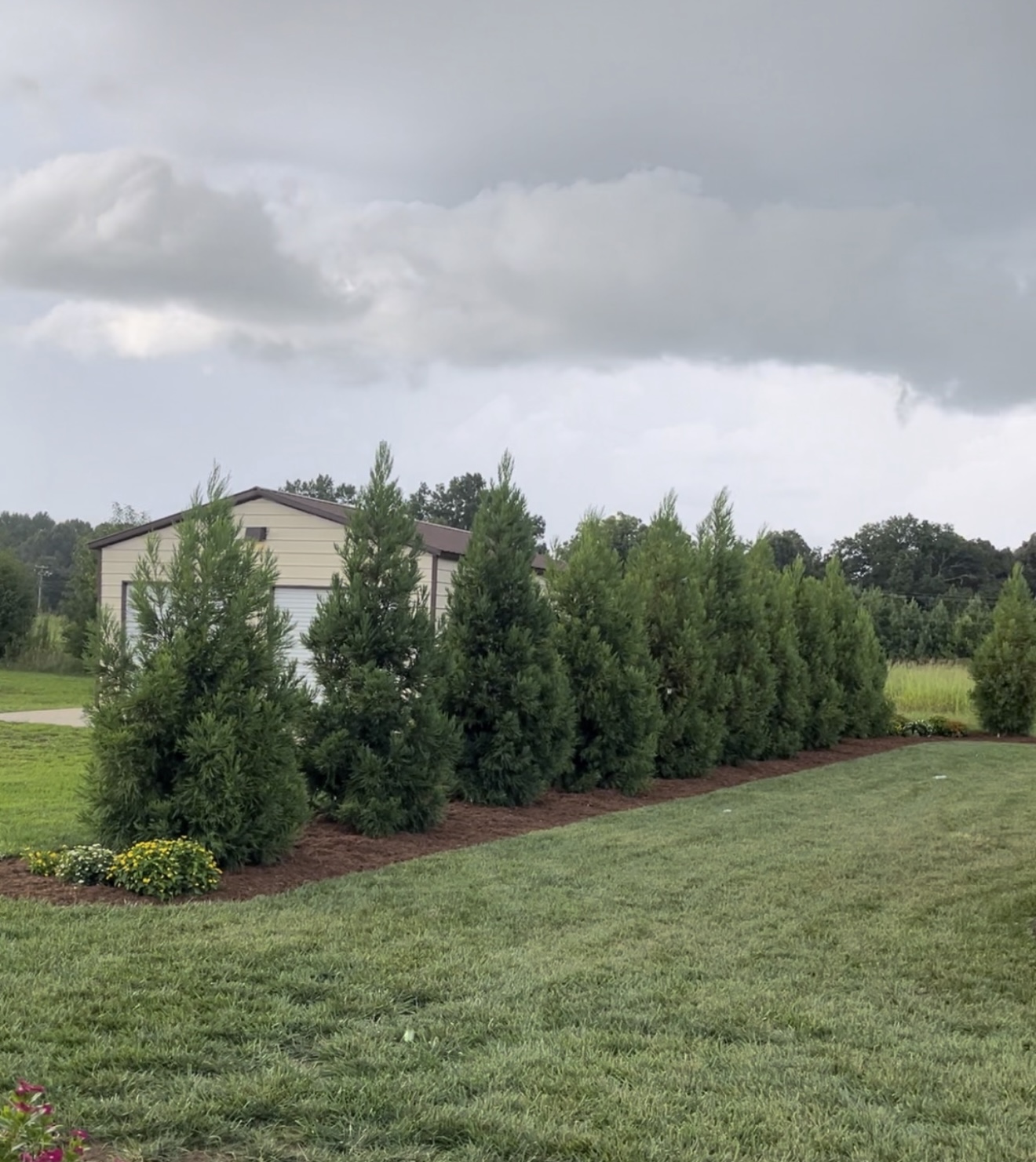 Edging and Mulch Install — after
