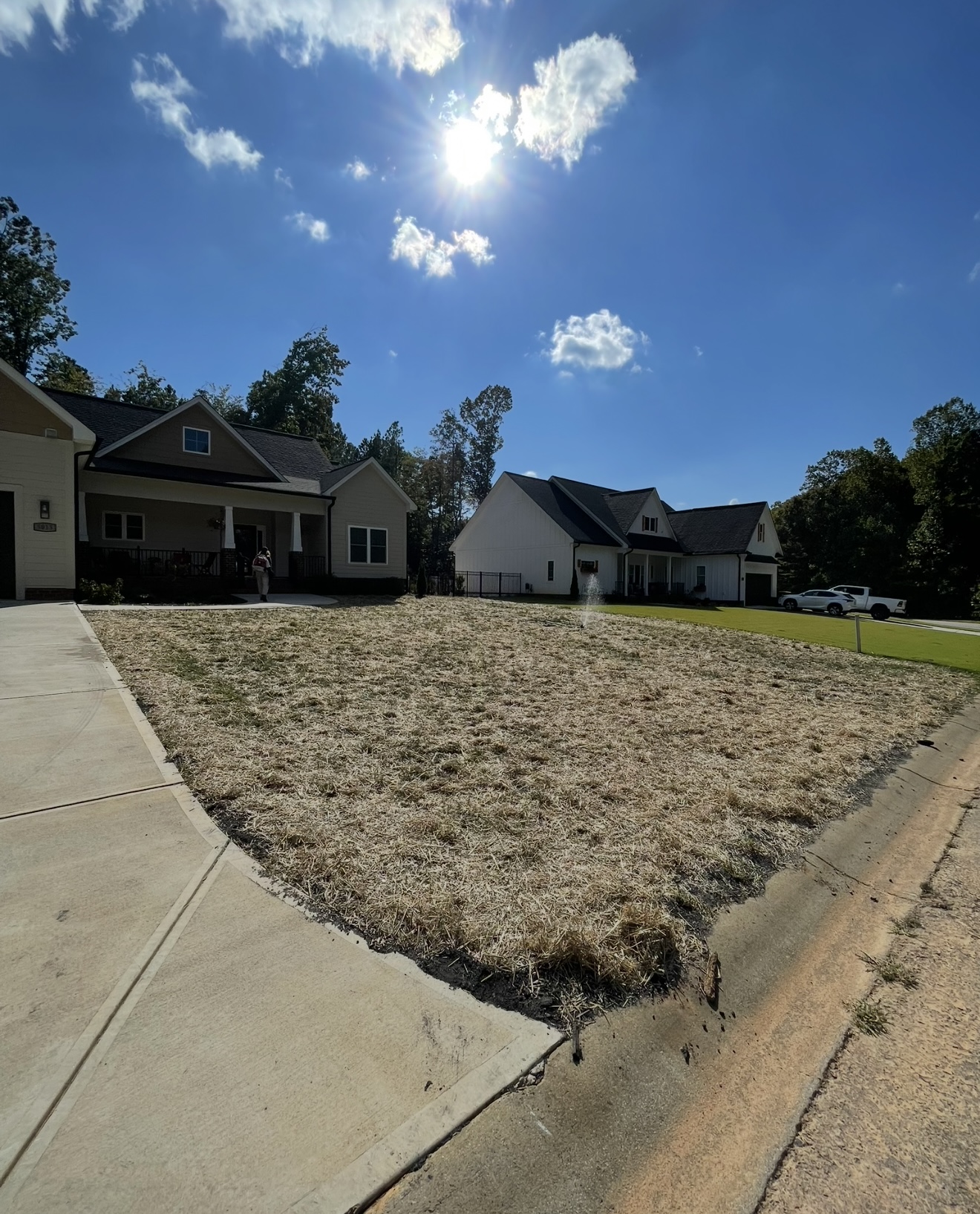Areation and Overseeding — before