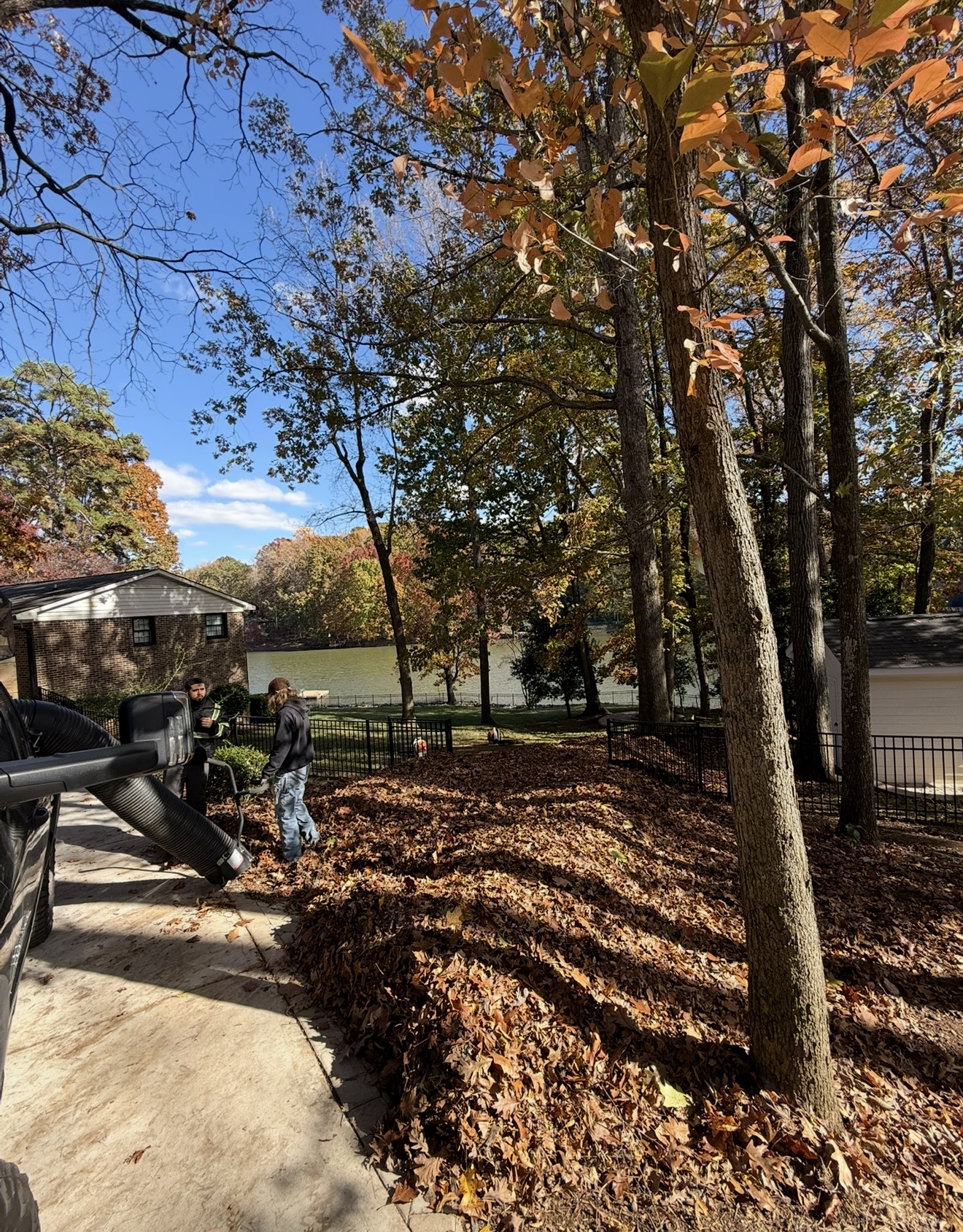 Leaf Removal — after