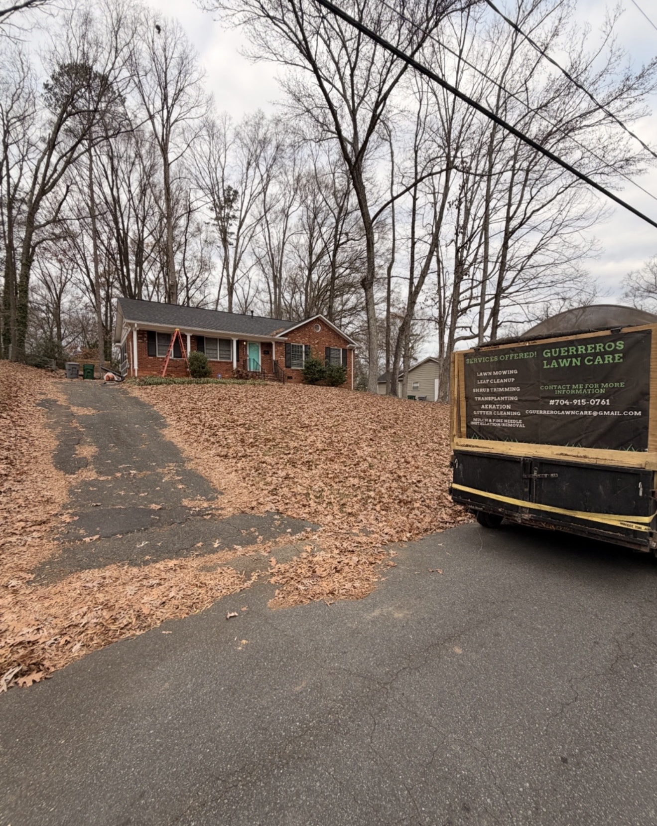Leaf Removal — before