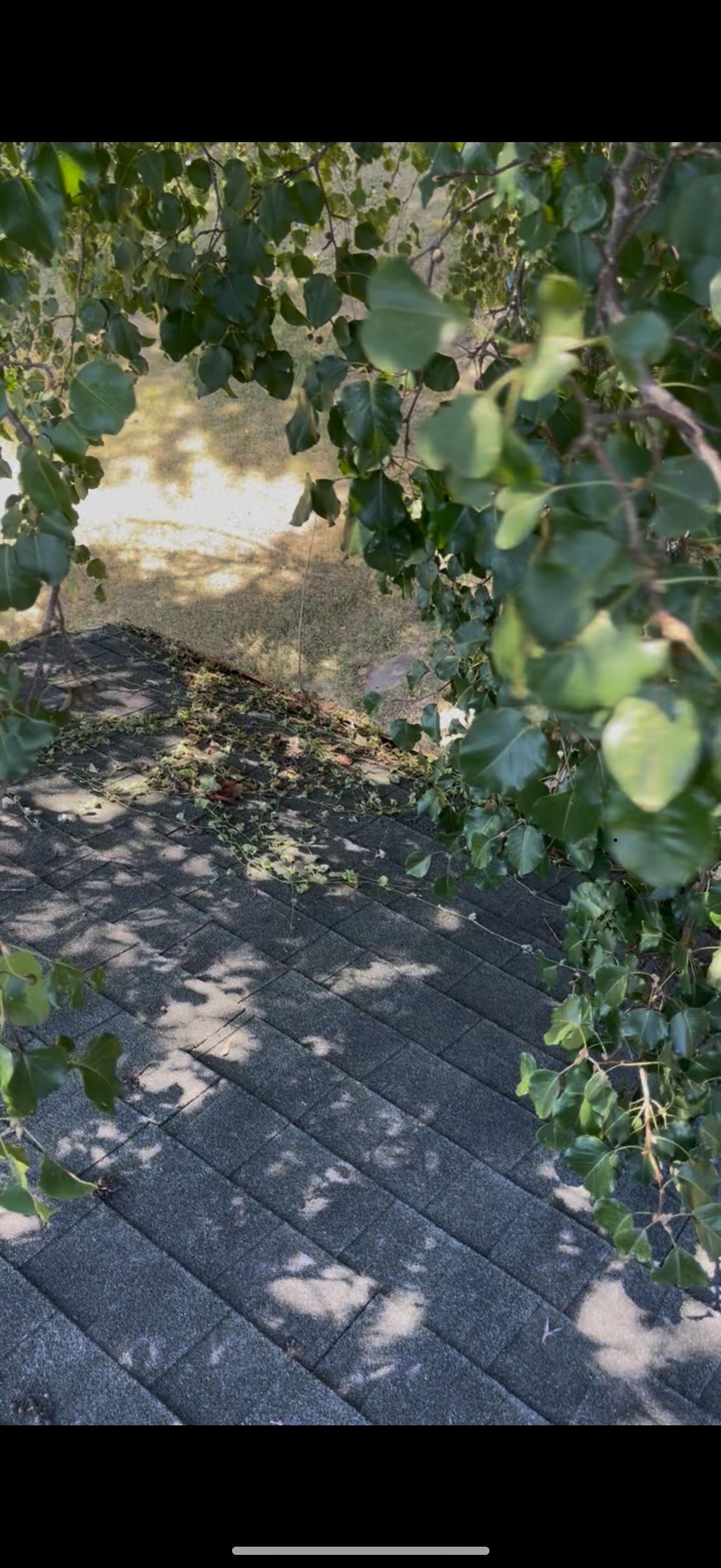 Gutter Cleaning — before