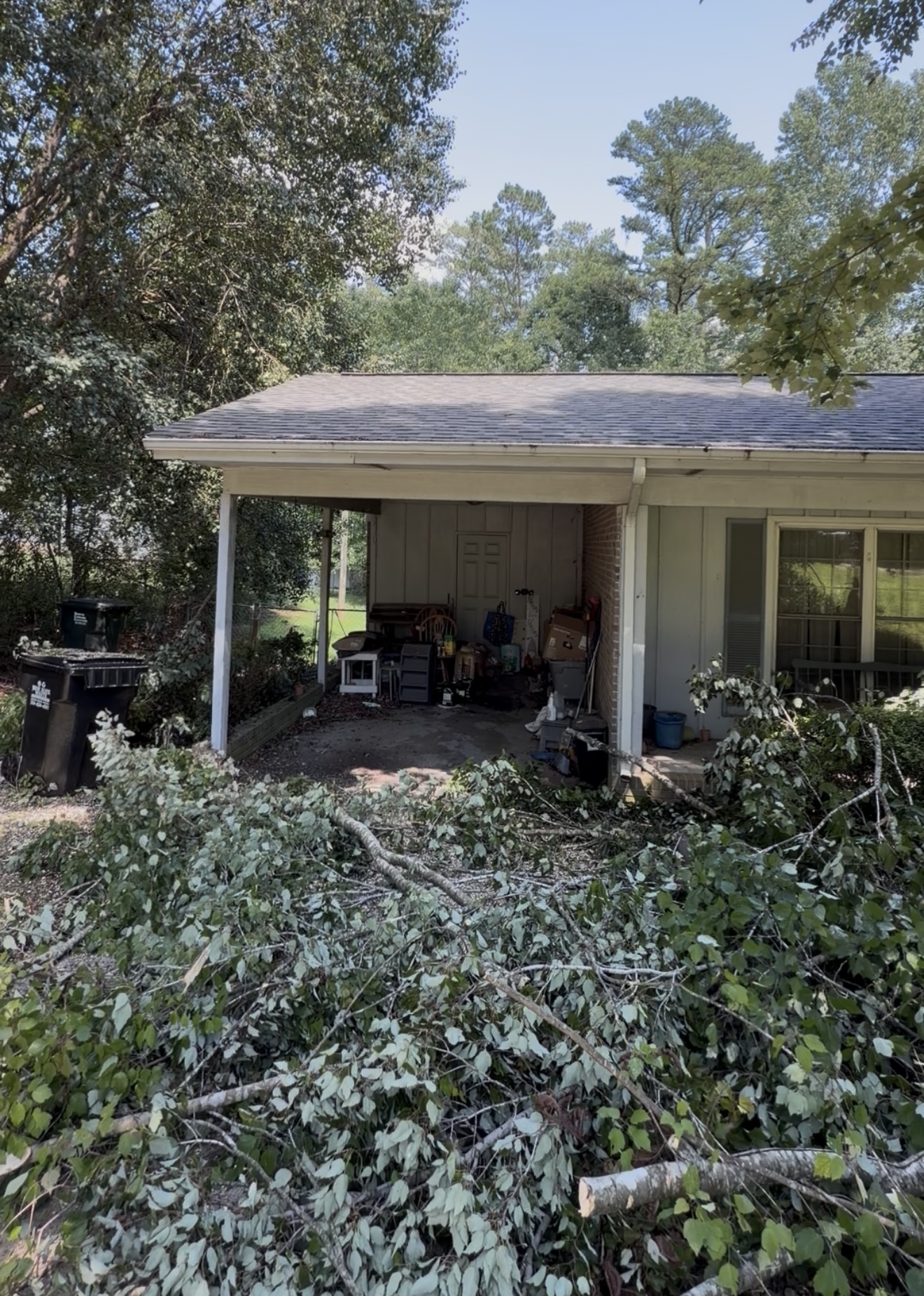 Fallen Branch Removal — after