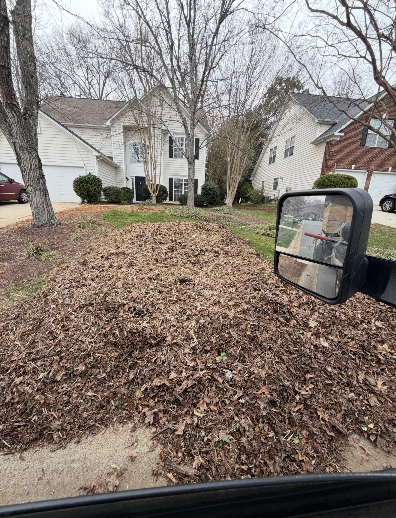 Leaf Pickup — before