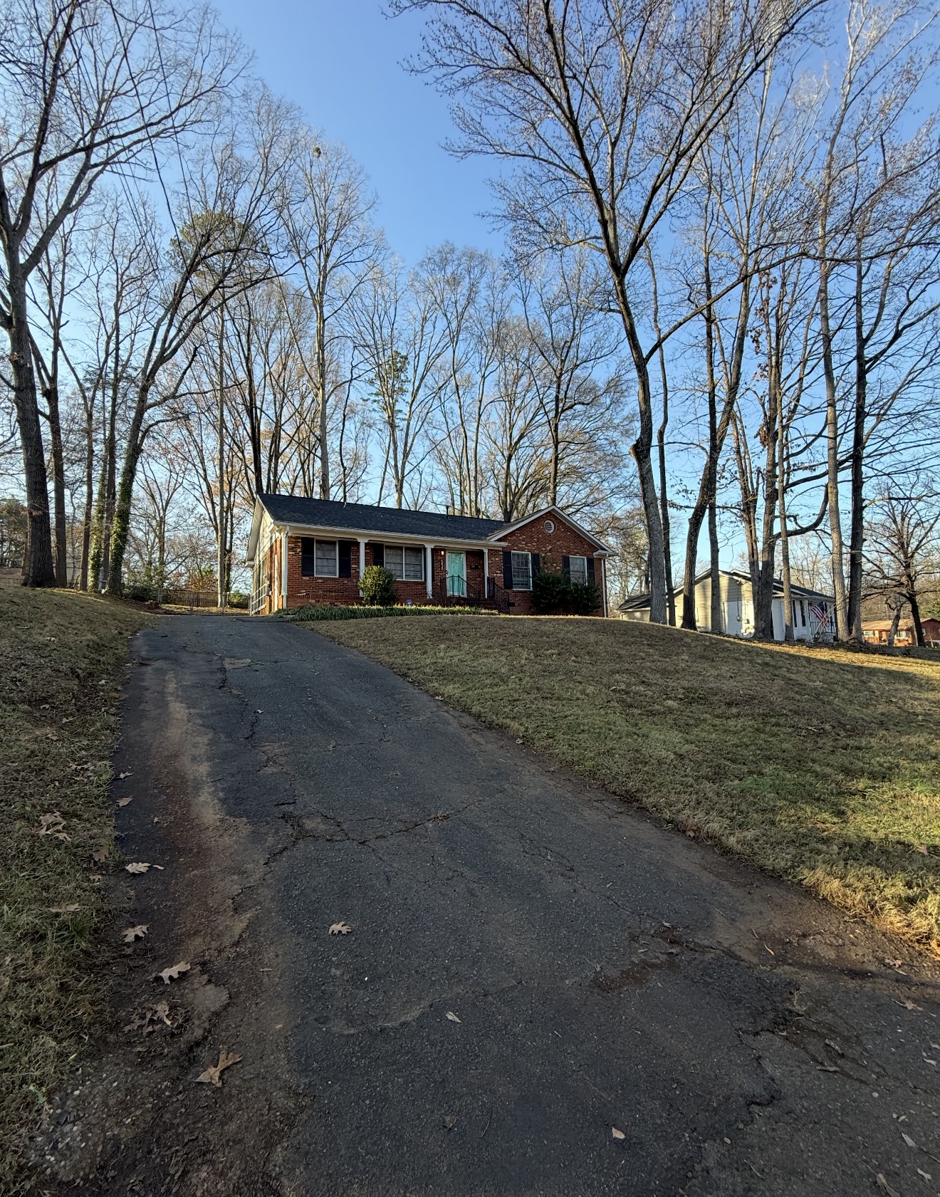 Leaf Removal — after