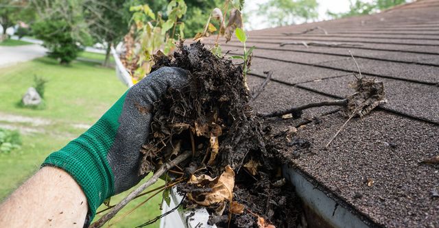 Gutter Cleaning service