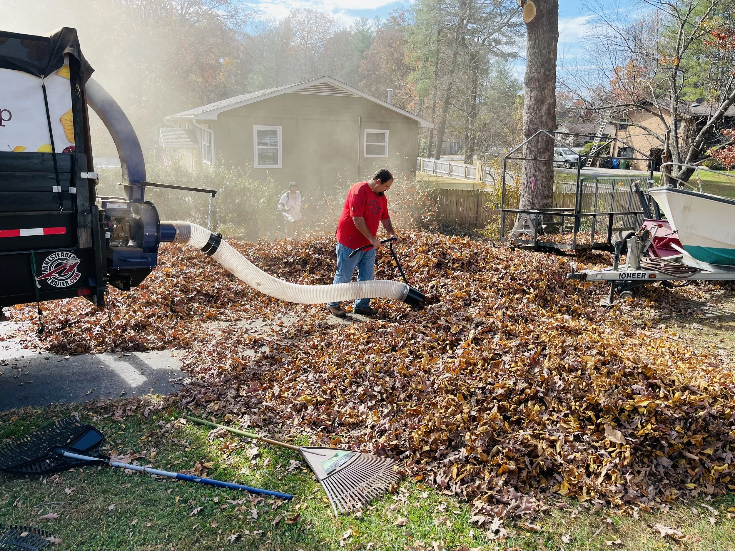 Leaf Removal service