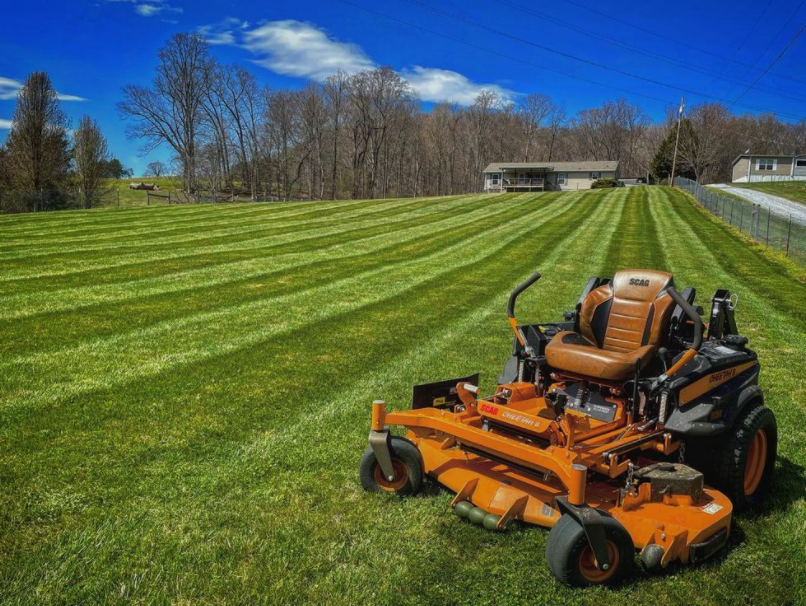 Lawn Maintenance service