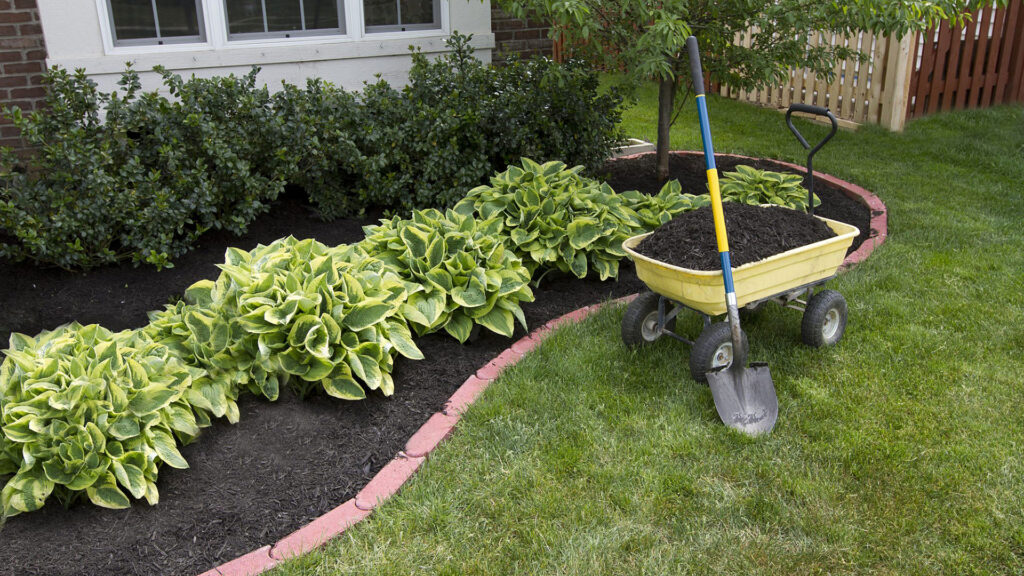 Mulch Installation service