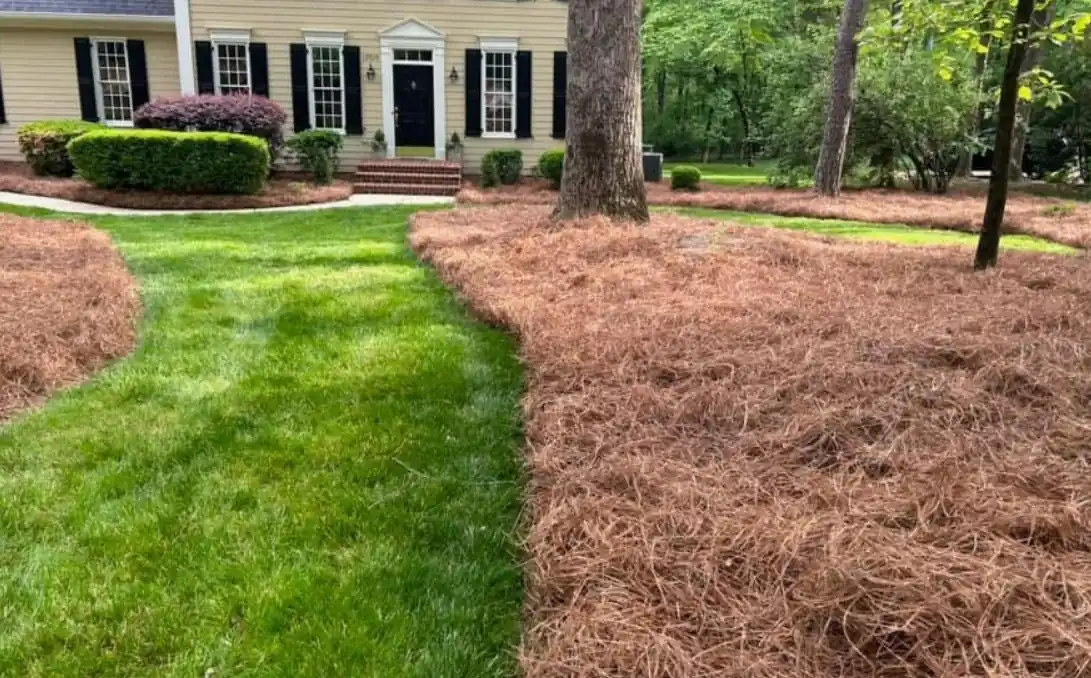Pine Needle Installation service